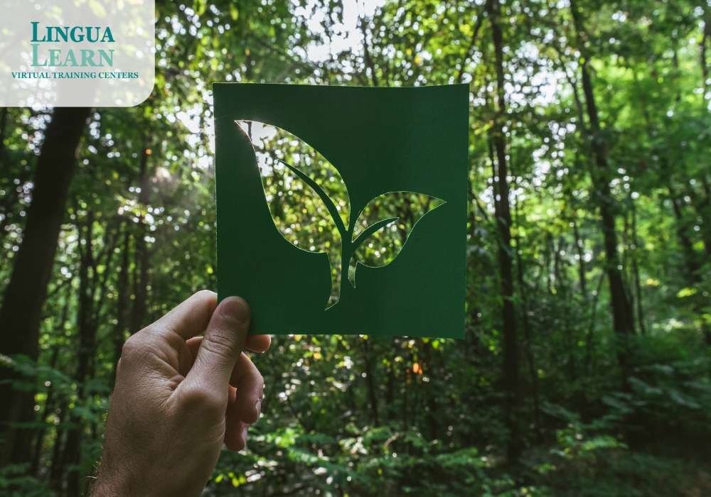 Eco Friendly Education