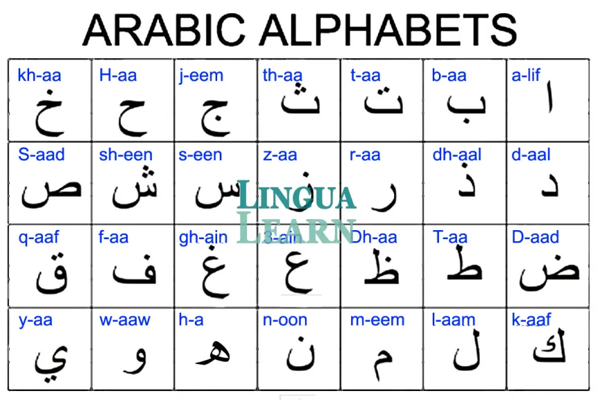 Learning Arabic as an Expat in the UAE: Where to Actually Start